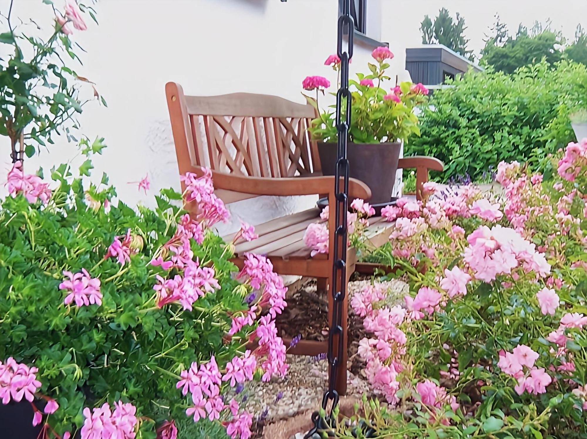 Lodge 2 Bad Harzburg Ngoại thất bức ảnh